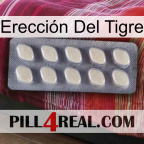 Erección Del Tigre 08